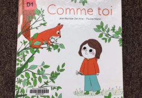 Comme toi de Jean-Baptiste Del Amo et Pauline Martin