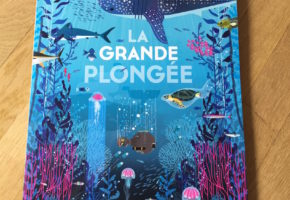 La grande plongée de Lucie Brunellière