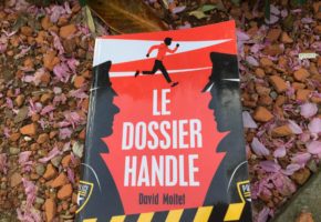 Le dossier Handle de David Moitet