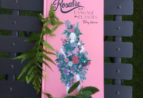 Rosalie et le langage des plantes de Fanny Ducassé