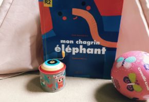 Mon chagrin éléphant de Cécile Roumiguière et Madalena Matoso